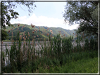 foto Lago di Fimon